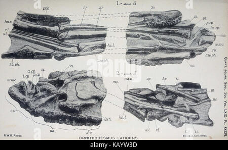 The Quarterly journal of the Geological Society of London (1913) (14804558953) Stock Photo