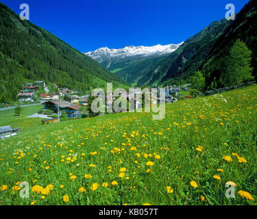 Feichten with dandelion meadow, Stock Photo
