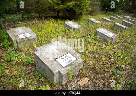 Polish prisoners of war in Tuchola Forest 1939 Stock Photo - Alamy