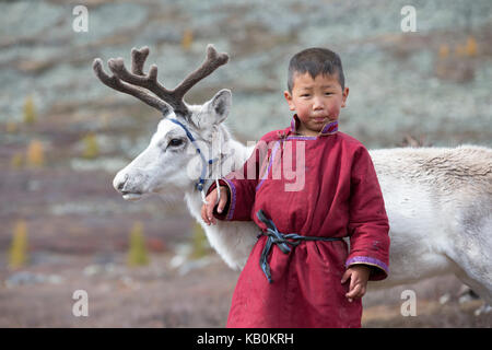 tsaatan boy, dressed in a traditional deel with a reindeer in northern Mongolia Stock Photo