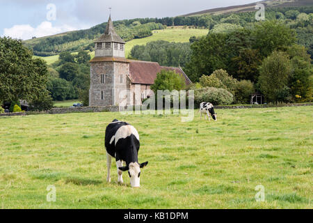 Holstein Friesian cattle and Bitterley Church near Ludlow, Shropshire, England, UK Stock Photo