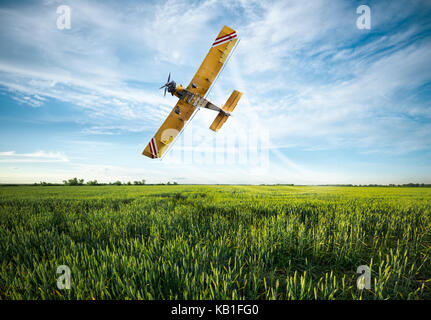 flying yellow plane sprayed crops in the field Stock Photo