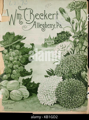 Wm. C. Beckert's descriptive and illustrated seed catalogue (16384496650) Stock Photo