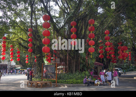 Japanese lanterns in trees, Splendid China park, Shenzhen, Stock Photo