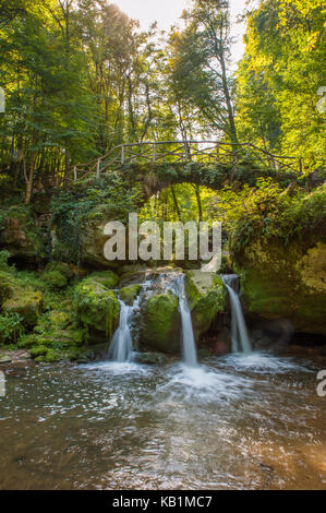 Müllerthall, Schiessentümpel Waterfall from Luxembourg Stock Photo