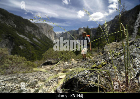 Woman, walk, Yosemite national park, the USA, Stock Photo