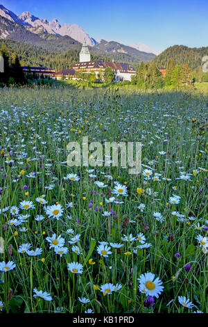 Germany, Bavaria, Upper Bavaria, Werdenfelser Land (region), castle Elmau, hotel of Elmau, Wettersteinwand (mountains), boarder rite meadow, Stock Photo