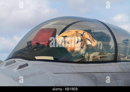 Polish Air Force F-16D jet fighter plane cockpit with tiger soft toy under closed canopy Stock Photo