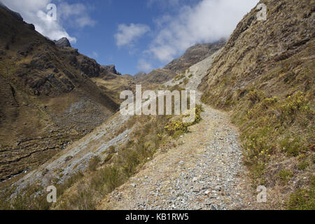 Bolivia, Cordillera Apolobamba, Stock Photo