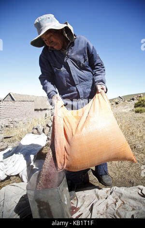 Bolivia, Salar de Uyuni, Fairly Trade, quinoa, separation of the chaff of the centre punches, man, Stock Photo