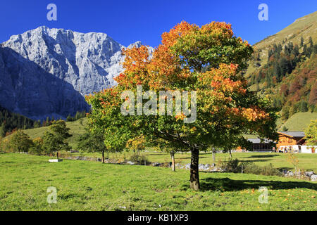 Austria, Tyrol, Engtal, Eng, Großer Ahornboden, Karwendel, Stock Photo