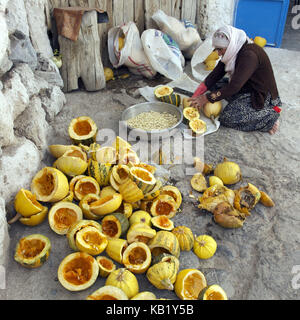 Turkey, Central Anatolia, Cappadocia, valley of Göreme, while pumpkin harvest, Stock Photo