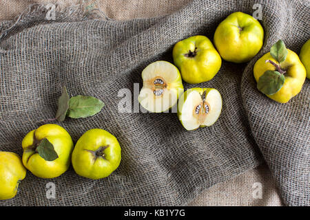 botany, farming, harvest concept. top view on few fruits of almost lemon fresh colour, they are called quince. one of them is cut into two equal parts, there are lots of pits in its heart Stock Photo