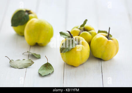 feeding, selling, fall concept. few bright fruits of quince tree lying on the table painted with snowy white shining colour, they are surrounded by green leaves Stock Photo