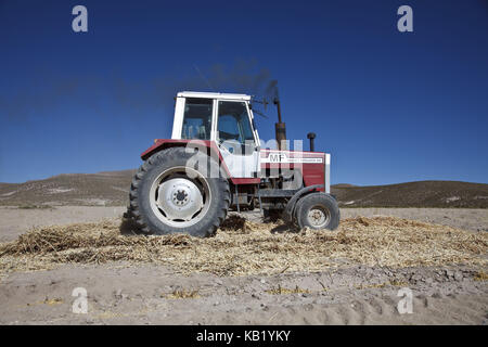 Bolivia, Salar de Uyuni, Fairly Trade, quinoa, thrashing while tractor, Stock Photo