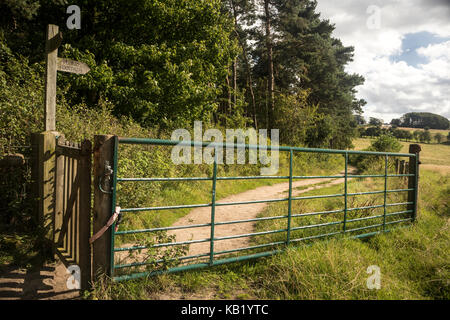 A metal 5 barred farmers gate alongside a path and also a wooden public footpath sign and small gate. Stock Photo