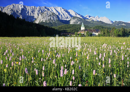 Germany, Bavaria, Upper Bavaria, Werdenfelser Land (region), castle Elmau, hotel of Elmau, Wettersteinwand (mountains), spring meadow, Stock Photo