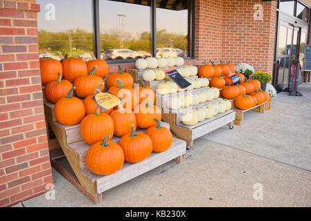 Pumpkins and gourds for sale and on display outside of a Fresh Market grocery store, ready for the Halloween holiday in the United States. Stock Photo