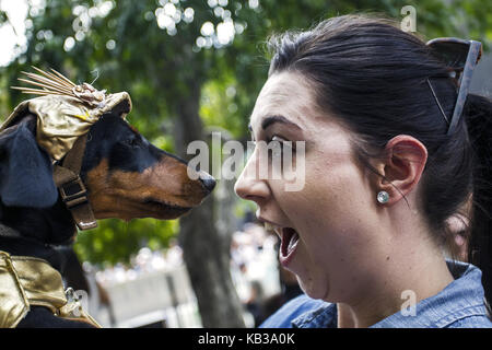 Annual dachshund fancy dress costume contest Melbourne Australia Stock Photo