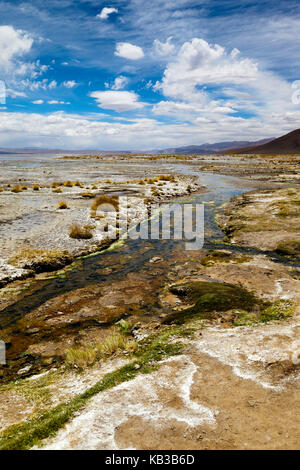 Termas de Polques, Laguna Salada hot springs, Bolivian Altiplano or Plateau, Bolivia, South America Stock Photo