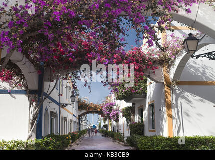 Spain, Canary islands, Gran Canaria, Puerto de Mogan, houses, lane, bougainvillaea, Stock Photo