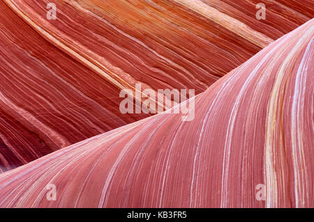 Coyote Buttress, the USA, Stock Photo