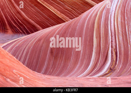 Coyote Buttress, the USA, Stock Photo