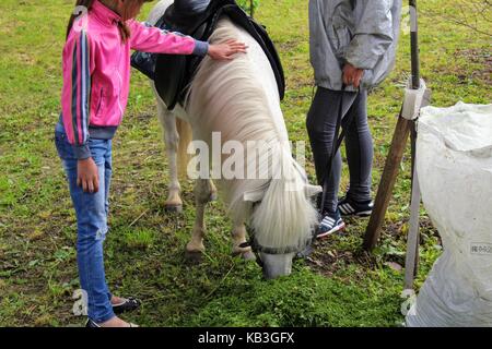 June, 2017, Odoev (Russia): Folk Festival 'Grandfather Filimon's Tales' - the girl is stroking the ponies. Stock Photo