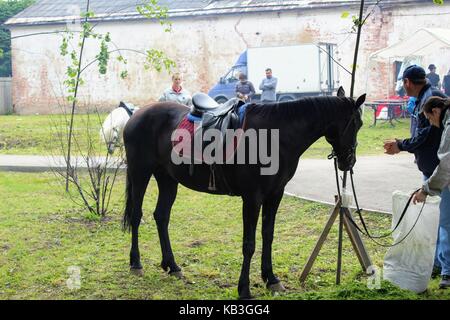 June, 2017, Odoev (Russia): Folk Festival 'Grandfather Filimon's Tales' - black horse for horseback riding. Stock Photo