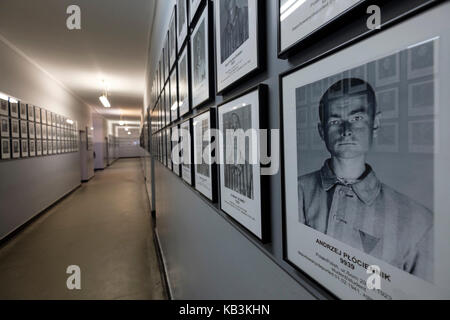 Portraits of prisoners at the Auschwitz WWII Nazi concentration camp museum, Poland Stock Photo