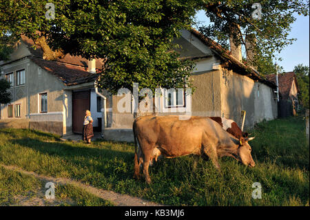 Romania, Transylvania, Viscri, part of villages with fortified churches in Transylvania, listed as World Heritage by UNESCO Stock Photo