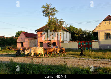 Romania, Transylvania, Viscri, part of villages with fortified churches in Transylvania, listed as World Heritage by UNESCO Stock Photo