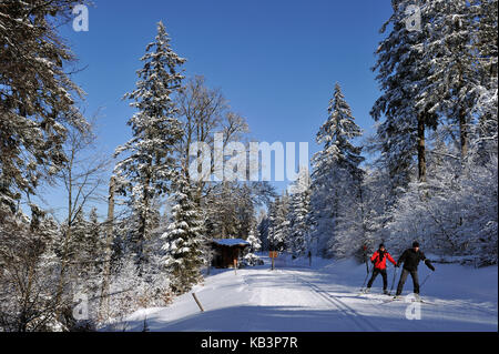 France, Haut Rhin, Hautes Vosges, The ski resort of the Lac Blanc, Col du Calvaire, slopes of cross country skiing Stock Photo
