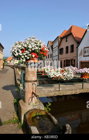 France, Bas Rhin, Wissembourg, district of the Bruch, banks of the Lauter River Stock Photo