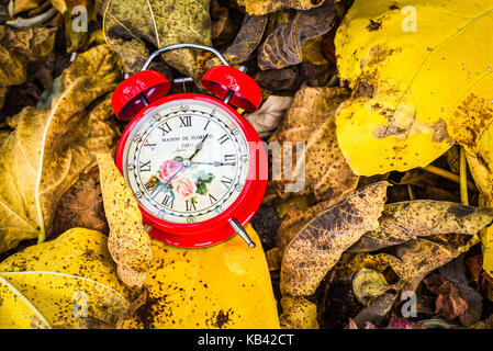 Red vintage alarm clock in dry autumn leaves, Passing time and season change concept.  Selective focus Stock Photo