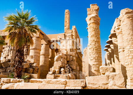 Palm tree near egyptian columns in Luxor, Egypt Stock Photo