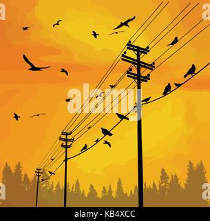 Electricity poles with birds on wire on beautiful sunset, vector illustration Stock Vector