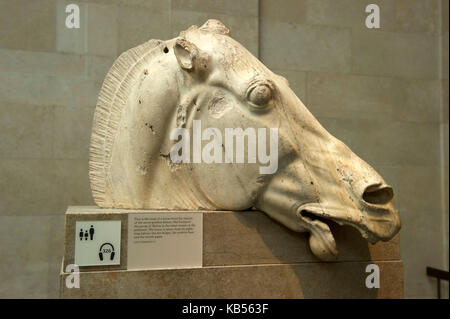 United Kingdom, London, Bloomsbury, British Museum, the Parthenon sculptures, head of a horse from the chariot of the moon-goddess Selene Stock Photo