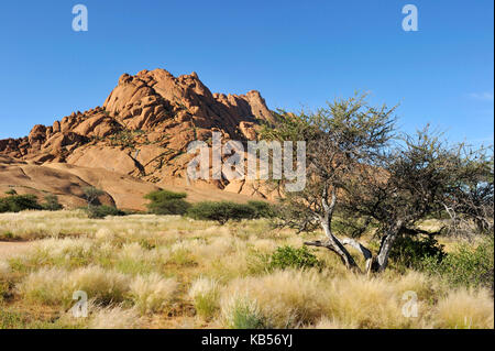 Namibia, Erongo, Damaraland, Namib desert, Spitzkoppe or Spitzkop (1784 m) Stock Photo