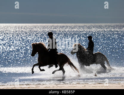 Horseback riding on Longufjorur Beach, Snaefellsnes Peninsula, Iceland Stock Photo