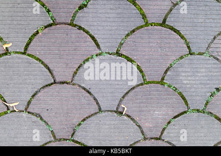 decorative paving tile on the sidewalk. background, texture, pattern. Stock Photo