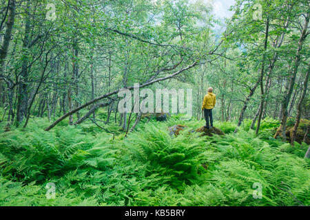 Alone tourist in lush norvegian forest Stock Photo