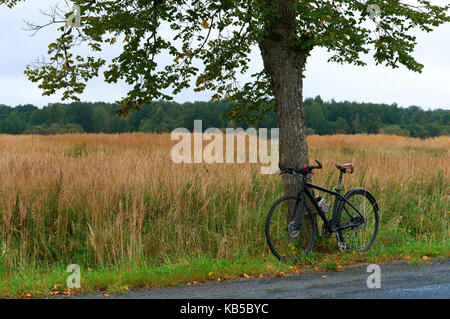 the bike near the lone tree on expensive Stock Photo