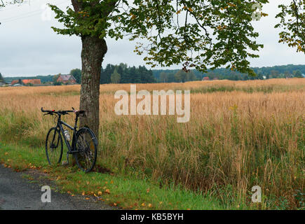 the bike near the lone tree on expensive Stock Photo