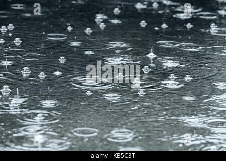 puddle with bubbles and water circles on dark asphalt. raindrops background. Stock Photo