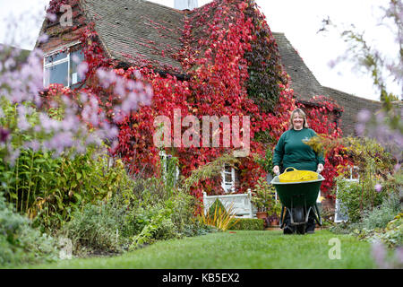 Horticultural practitioner Judith Fileds walks with her wheelbarrow through the autumnal colours on display at the Winterbourne House and Gardens in Birmingham.