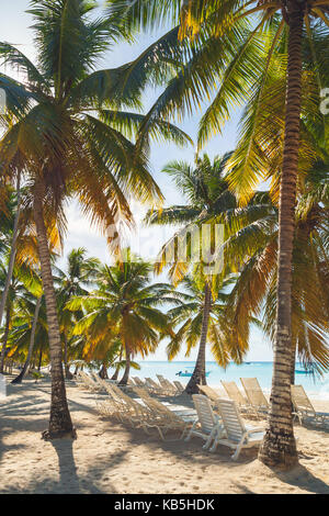 Vertical tropical beach background photo. Coconut palms grow on Caribbean Sea coast, Dominican republic, Saona island