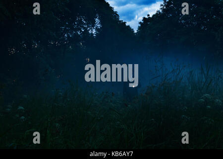 Lonely man with flashlight wandering in vague forest landscape. Mysterious light in gloomy dark field with mist between trees and grass.Horror moment in foggy forest. Dark man silhouette on the trail Stock Photo