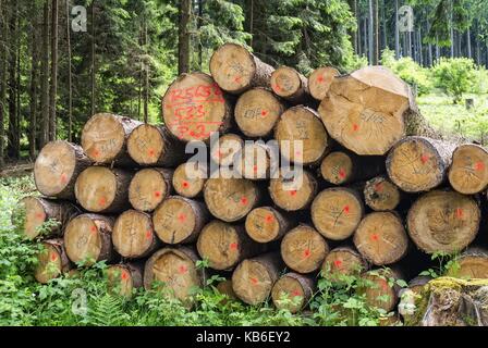 Stacked tree trunks with marks in Taunus, Germany. | usage worldwide Stock Photo