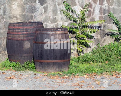 Old wine barrels outside in sunshine. Stock Photo